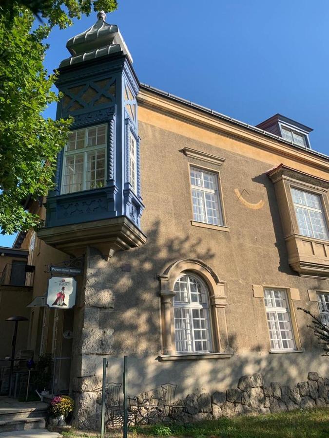 Villa Pazelt Top1 Bad Voeslau Exteriör bild