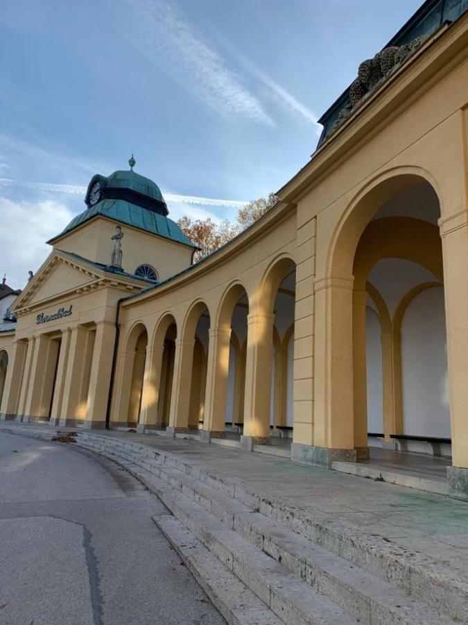Villa Pazelt Top1 Bad Voeslau Exteriör bild